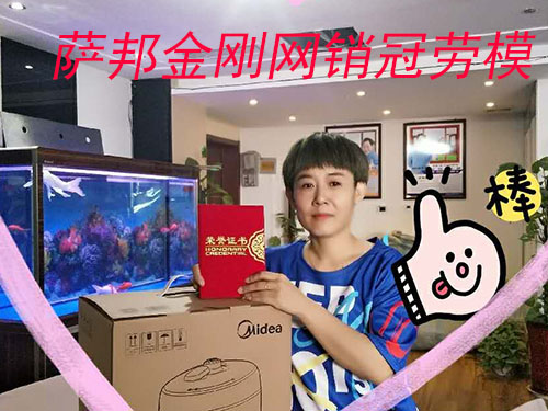薩邦專業生產金剛網