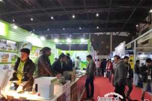 中印直航將恢復 + 簽證簡化，2026年印度石材展迎參展好時機
