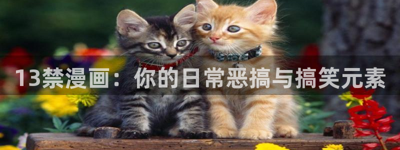 羞羞漫画在线观看免费完整版漫画