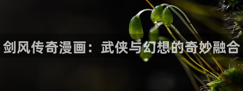 羞羞漫画视频免费